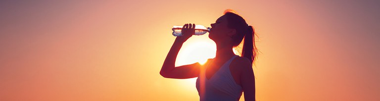 Com evitar un cop de calor? Com evitar un cop de calor?