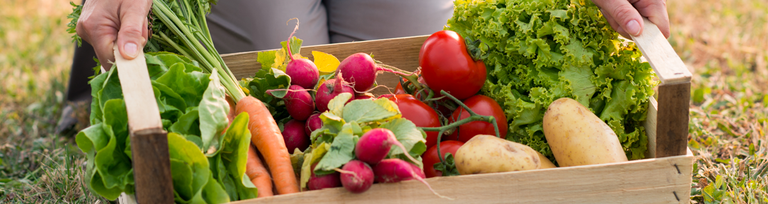 Preservar les vitamines i minerals de les fruites i hortalisses Preservar les vitamines i minerals de les fruites i hortalisses
